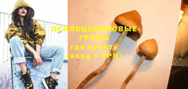 ешки Аркадак