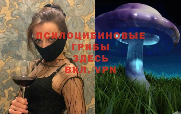 ешки Аркадак