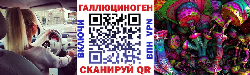 что такое   Ясный  KRAKEN зеркало  Псилоцибиновые грибы Psilocybine cubensis 